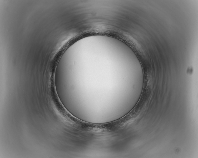 X0000091570542200709051041