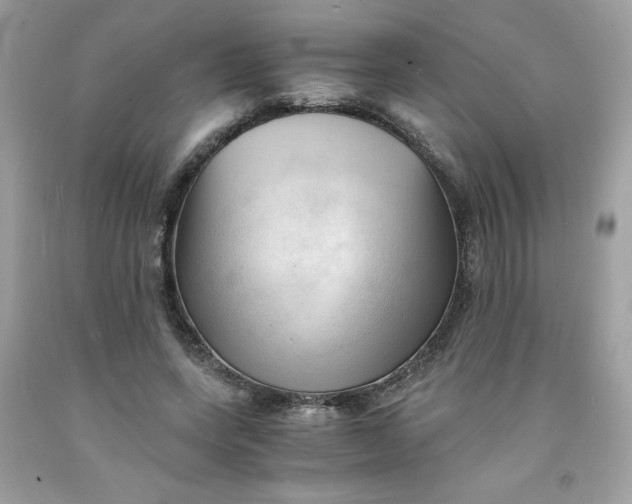 X0000091570543200709051041