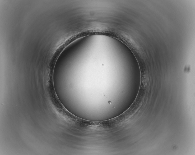 X0000091570544200709051041