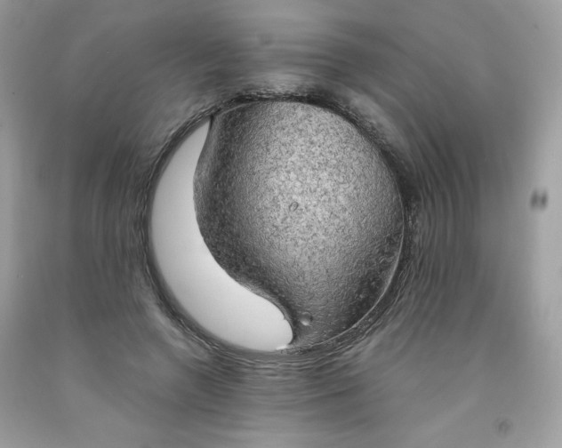 X0000091570546200709051041