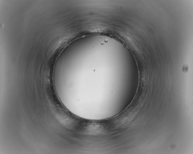 X0000091570547200709051041