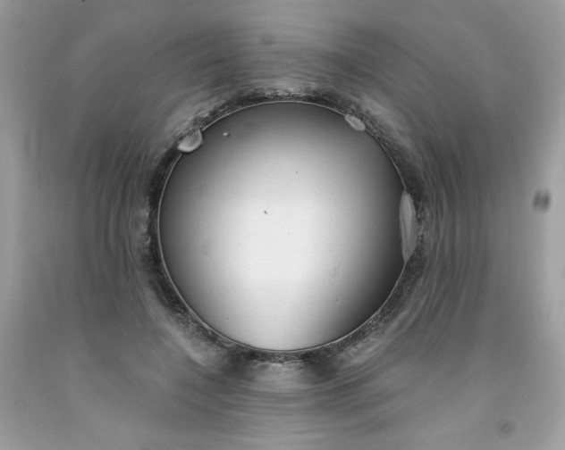 X0000091570548200709051041