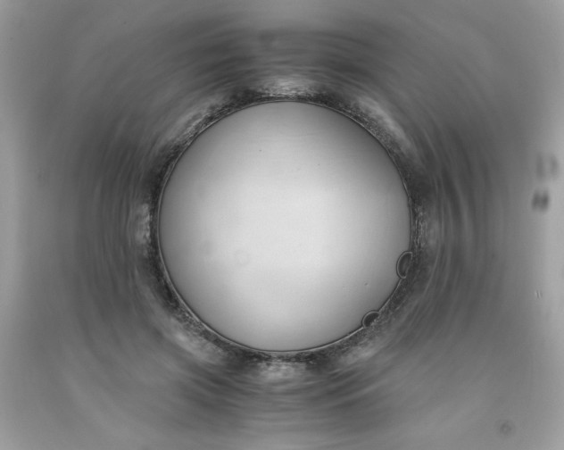 X0000091570549200709051041