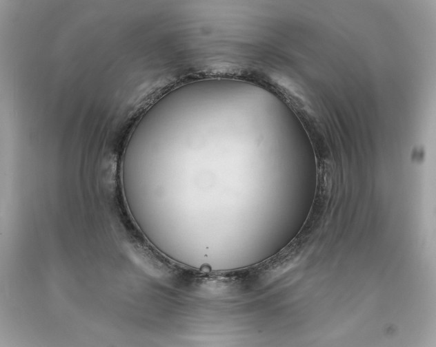X0000091570550200709051041