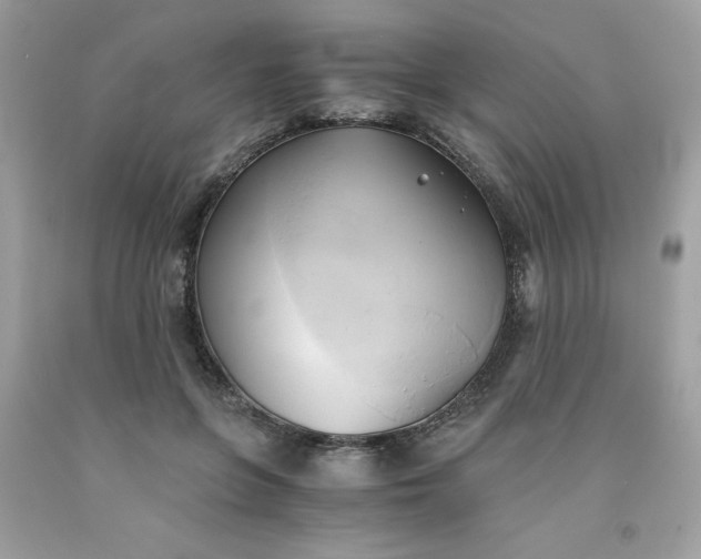 X0000091570551200709051041