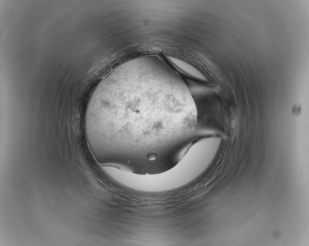 X0000091570552200709051041
