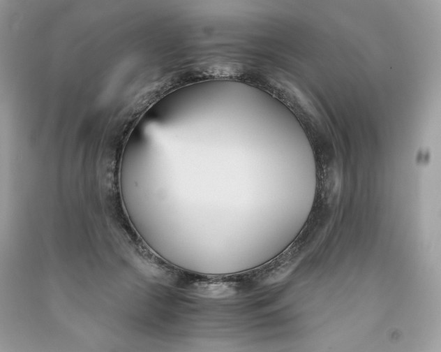 X0000091570553200709051041