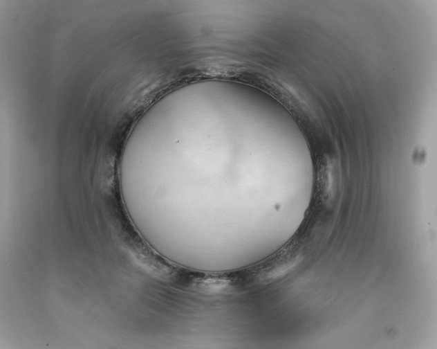 X0000091570554200709051041