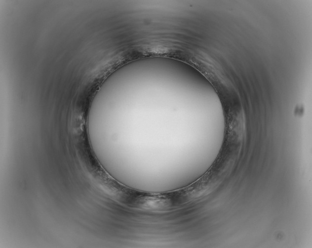 X0000091570555200709051041
