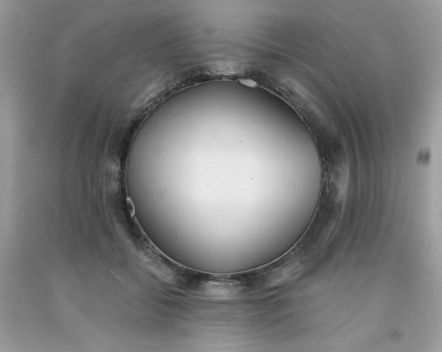 X0000091570556200709051041