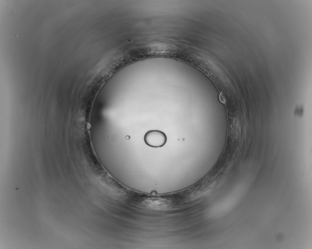 X0000091570557200709051041
