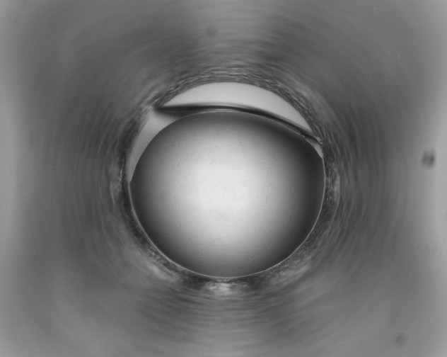 X0000091570558200709051041