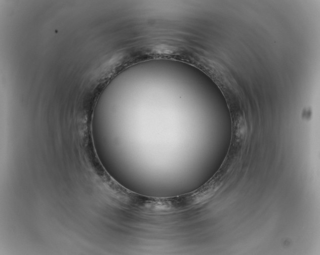 X0000091570559200709051041