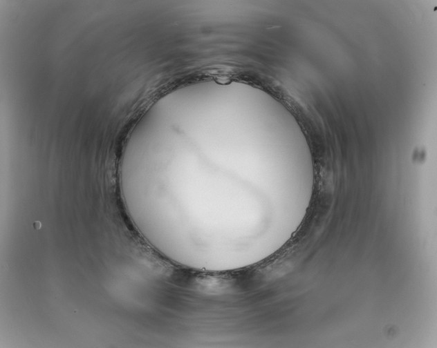 X0000091570561200709051041