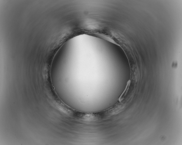 X0000091570562200709051041