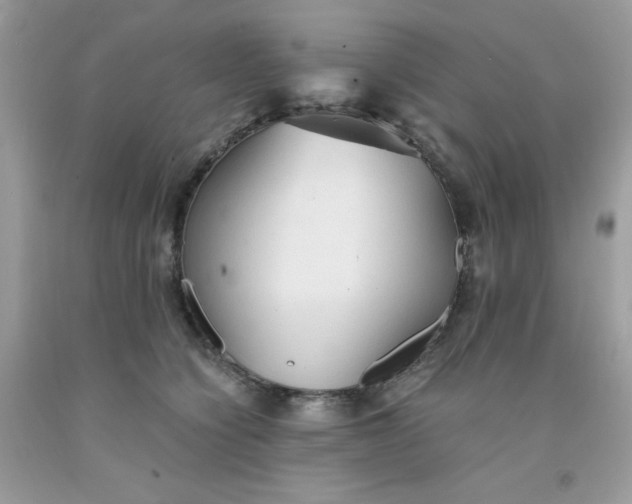 X0000091570564200709051041