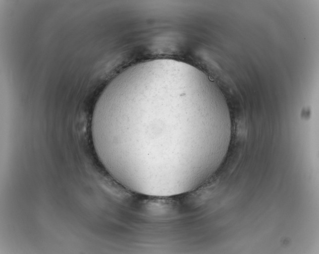 X0000091570567200709051041
