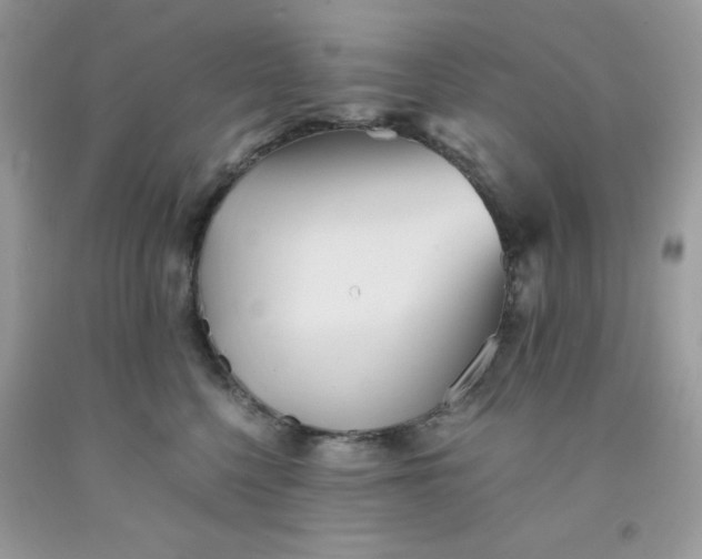 X0000091570568200709051041
