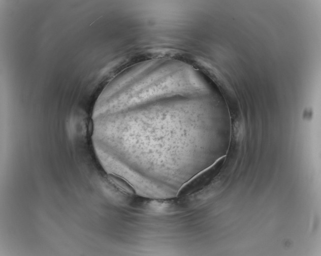 X0000091570570200709051041
