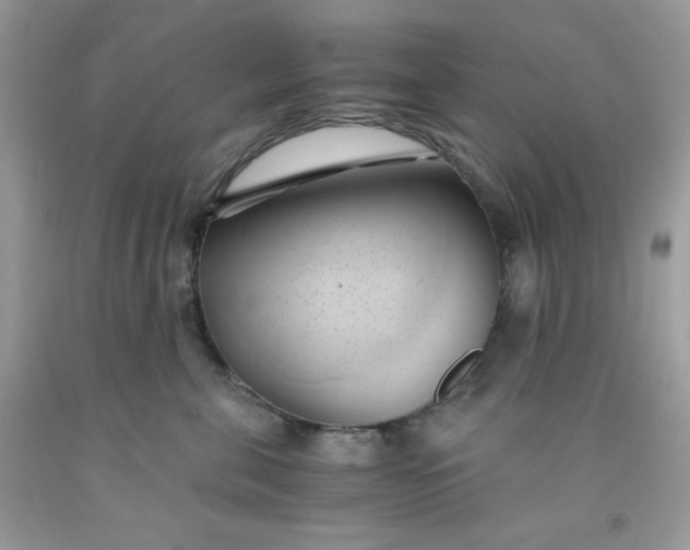 X0000091570571200709051041