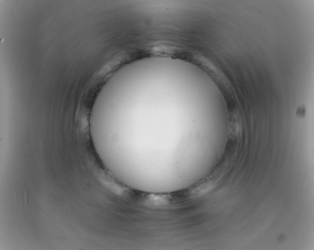 X0000091570573200709051041
