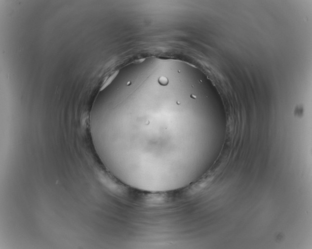 X0000091570574200709051041