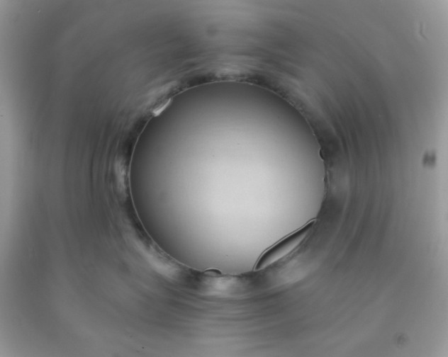 X0000091570575200709051041