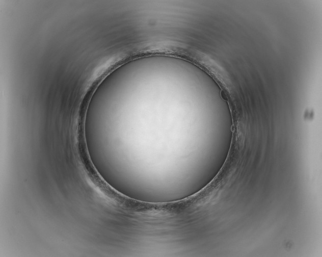 X0000091570578200709051041