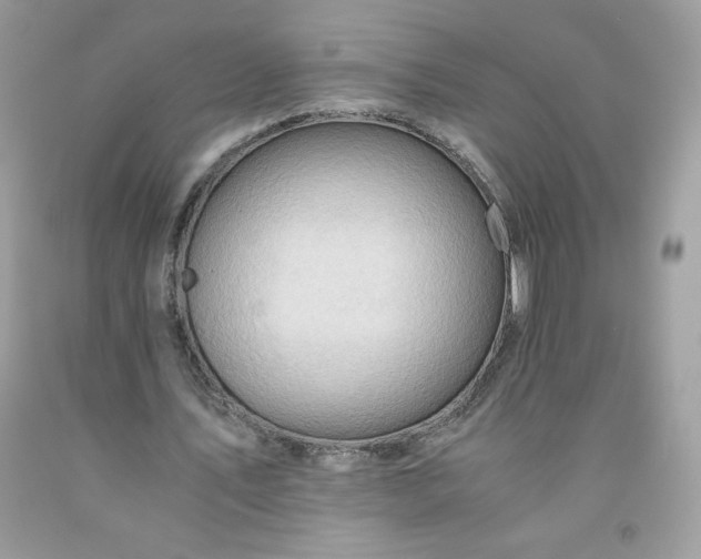 X0000091570579200709051041