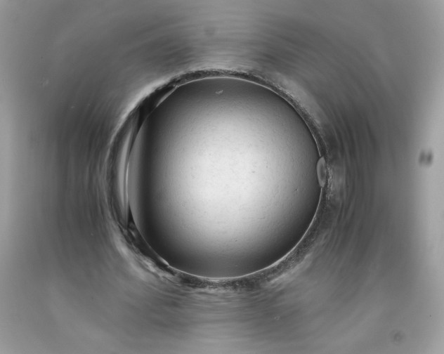 X0000091570580200709051041