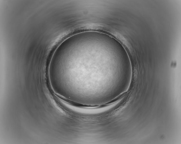 X0000091570581200709051041