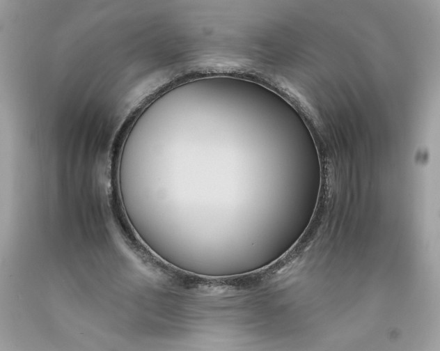 X0000091570582200709051041