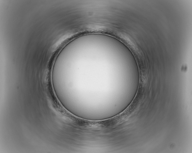 X0000091570583200709051041
