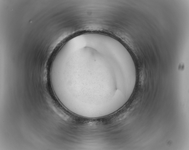 X0000091570584200709051041