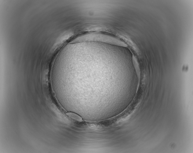 X0000091570585200709051040