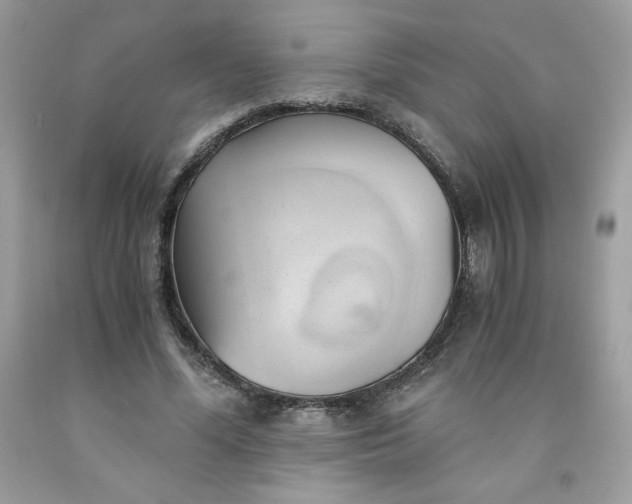 X0000091570588200709051040