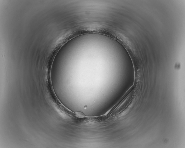 X0000091570589200709051040