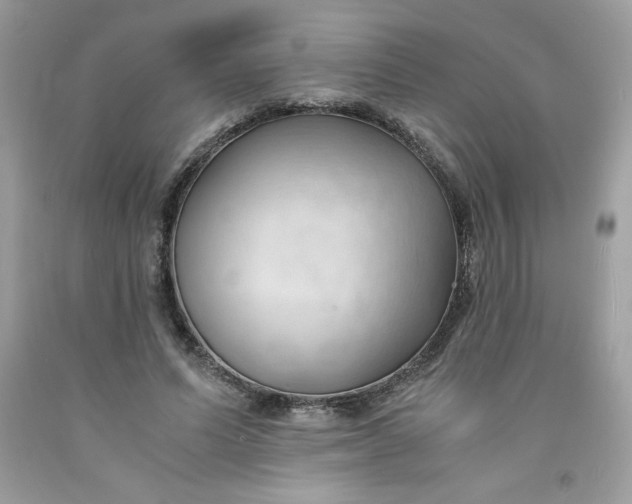 X0000091570591200709051040