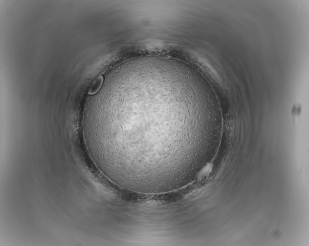 X0000091570593200709051040