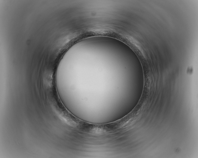 X0000091570596200709051040