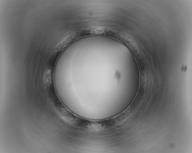 X0000091570598200709051040
