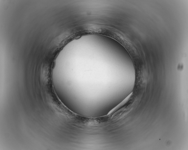 X0000091570600200709051040