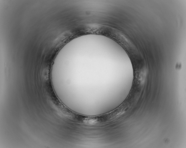 X0000091570602200709051040