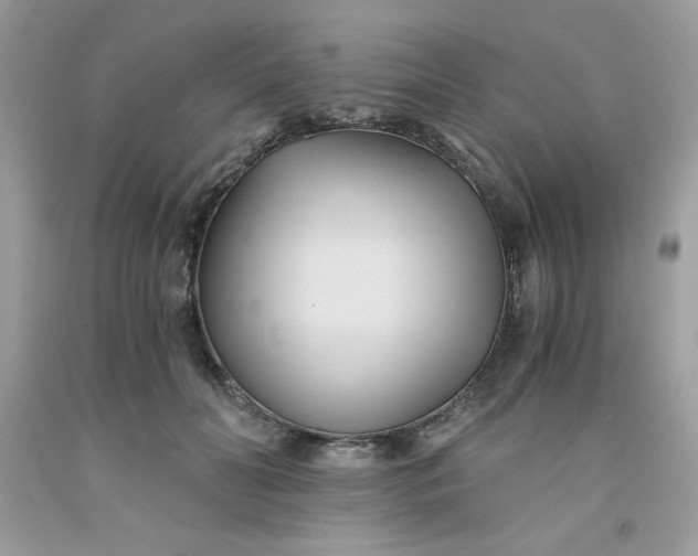 X0000091570606200709051040