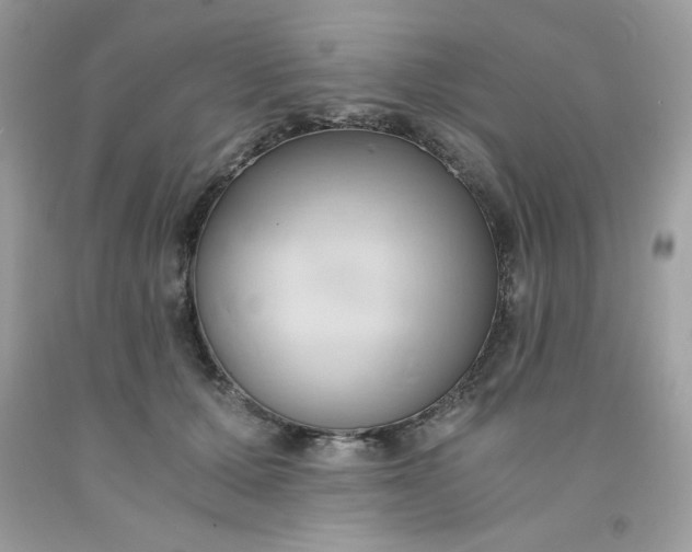 X0000091570607200709051040