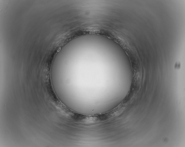 X0000091570609200709051040
