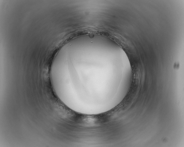 X0000091570610200709051040