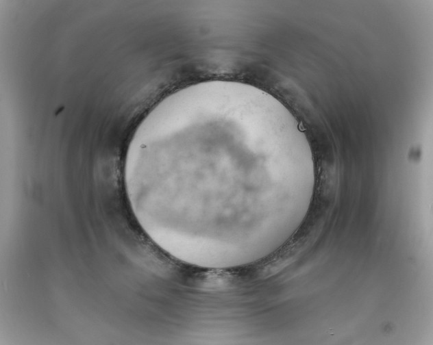 X0000091570612200709051040