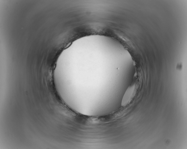 X0000091570613200709051040