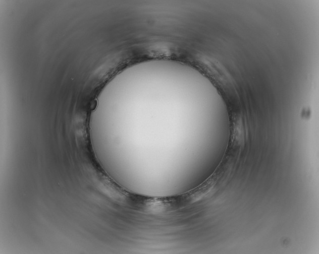 X0000091570616200709051040